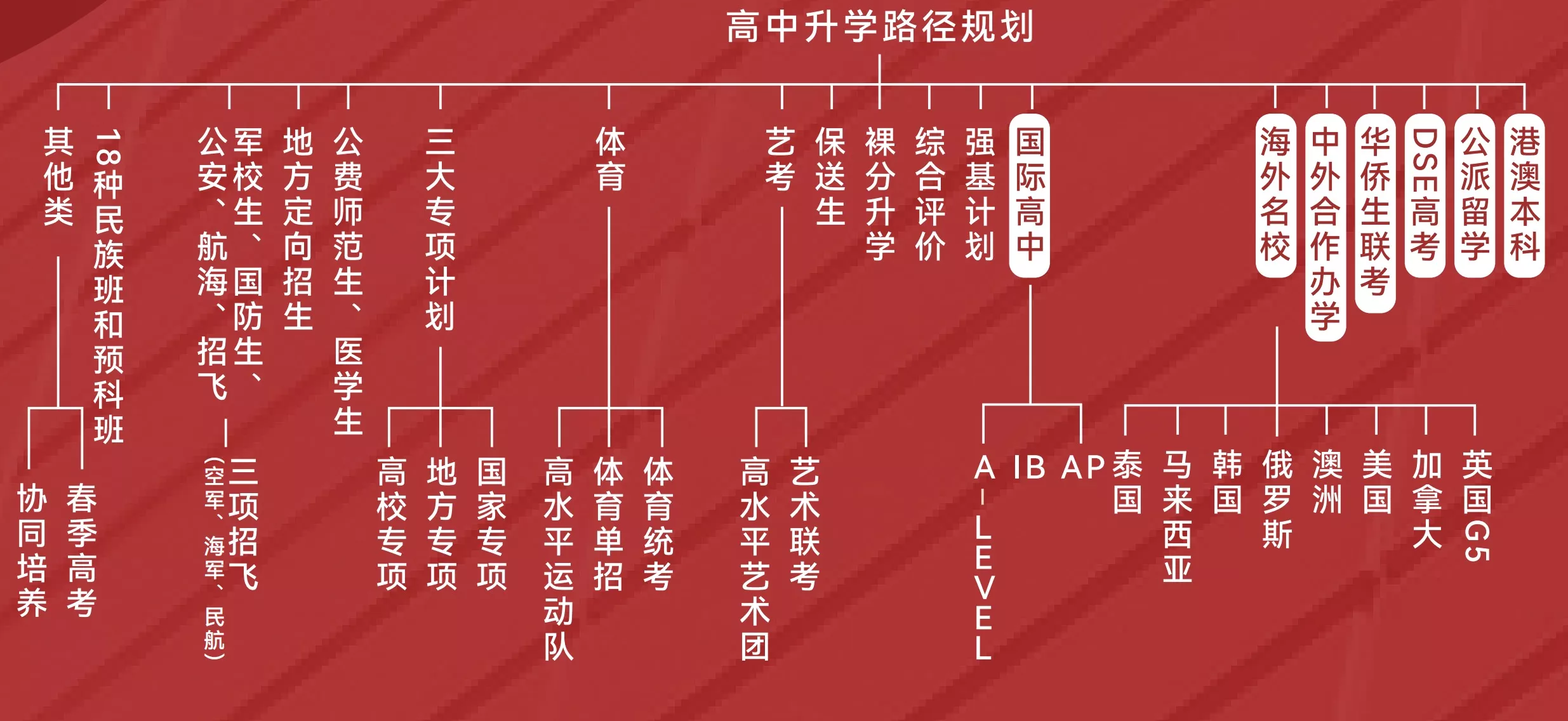 20+升学路径